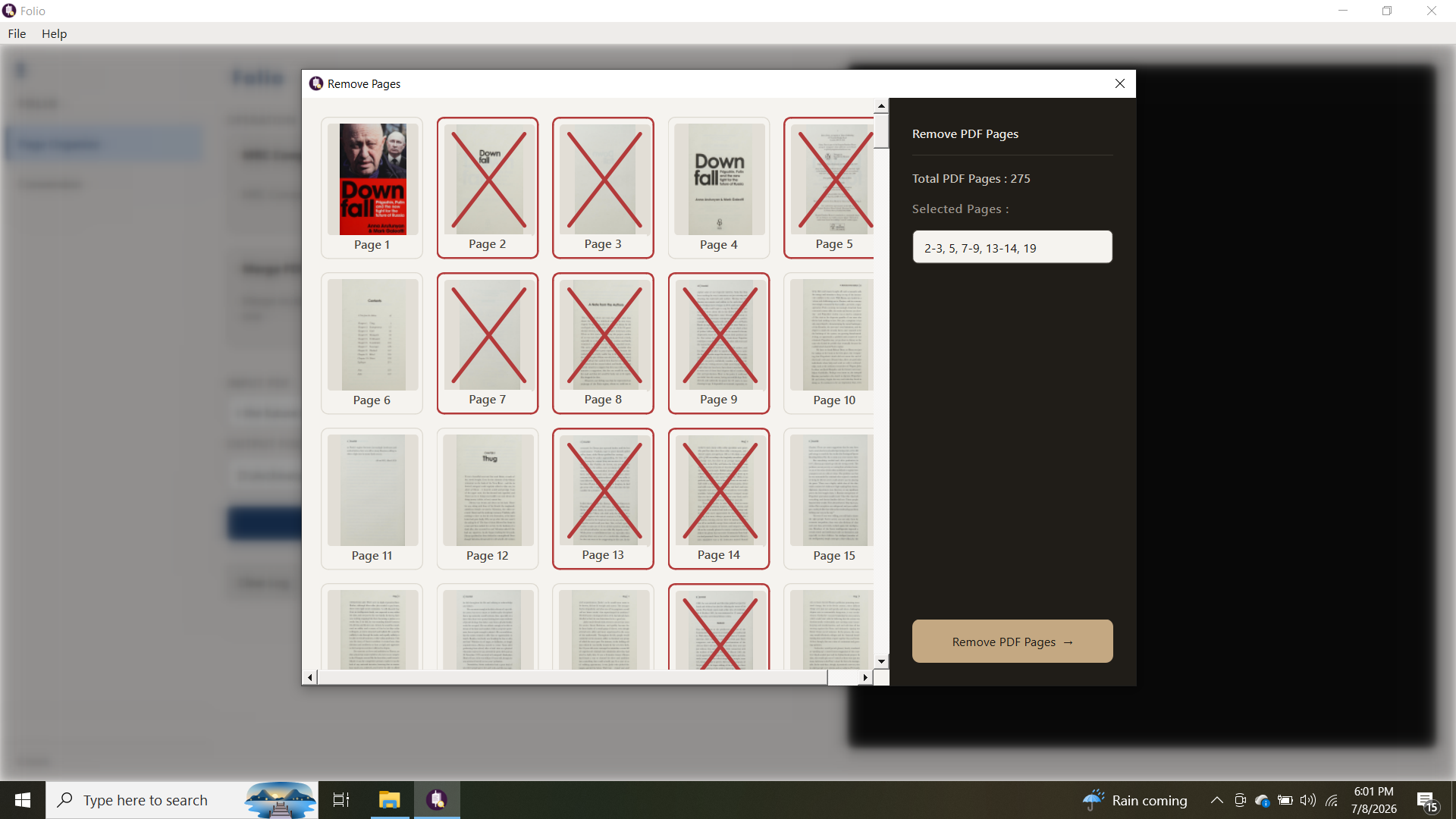Remove Pages Panel